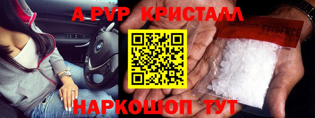 Альфа ПВП СК КРИС Острогожск