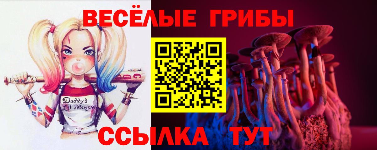 купить наркоту  Галлюциногенные грибы мицелий  Вход с VPN  Острогожск 